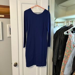 Long Sleeve Blue Banana Republic Dress